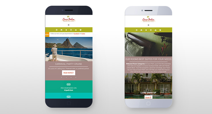 diseño responsive cocopalm